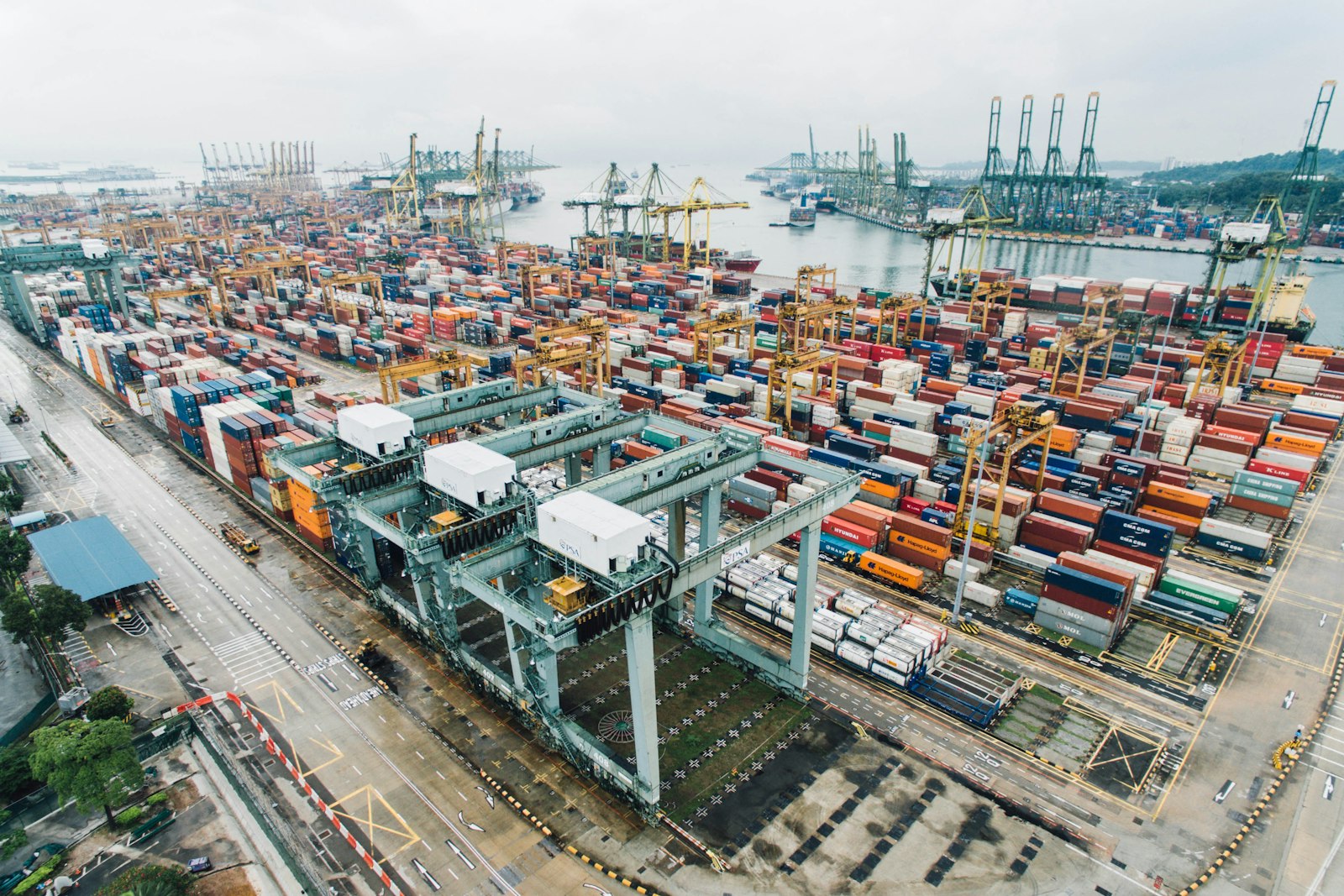 Customs Clearance — Licensed clearance at every major border.